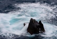 Kiedy ceny w Polsce spadna?