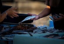 Jak zacząć sprzedawać w internecie? Jak zacząć sprzedawać w internecie?