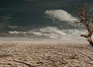 Czy będzie susza w 2023?