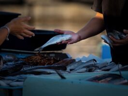 Gdzie sprzedawać bez działalności gospodarczej?