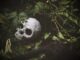 Jak przeżyć za 100 zł miesięcznie? Jak przeżyć za 100 zł miesięcznie?