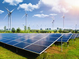 Trendy rynkowe w sektorze OZE